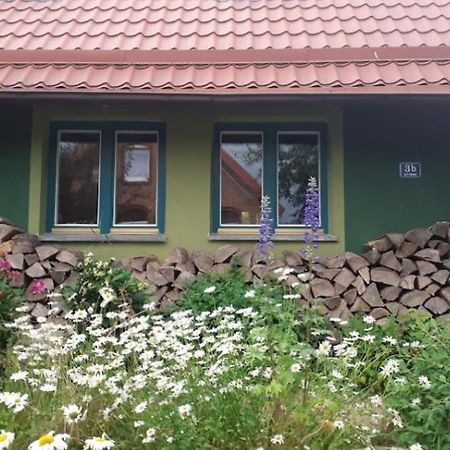 Zielony Domek W Sztynorcie Sztynort Eksteriør bilde