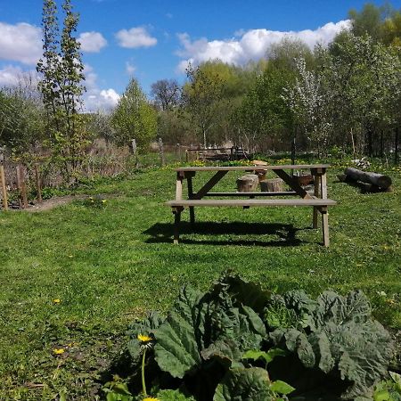 Zielony Domek W Sztynorcie Sztynort Eksteriør bilde